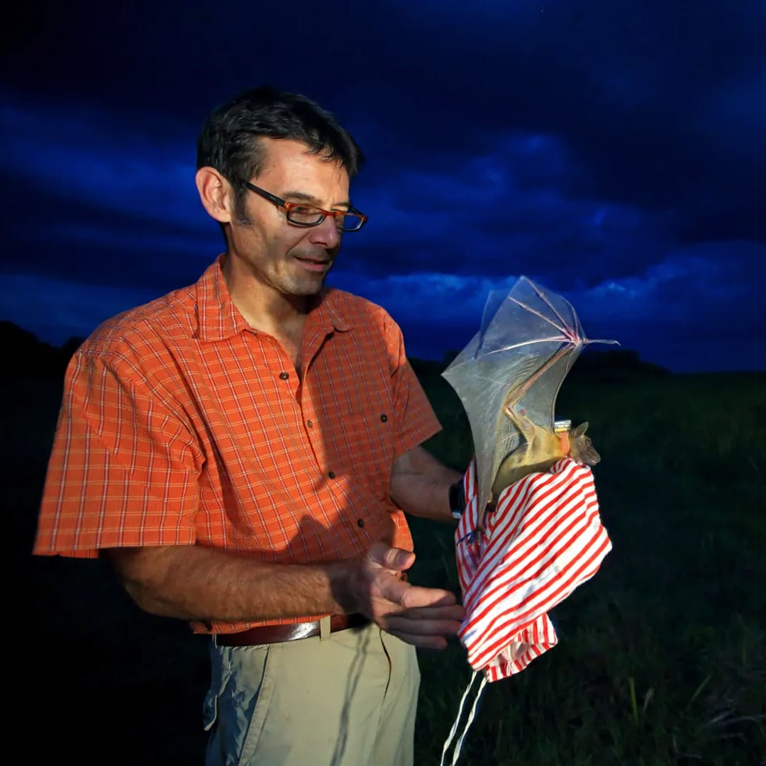 Викельски держит летучую мышь с меткой на лапке