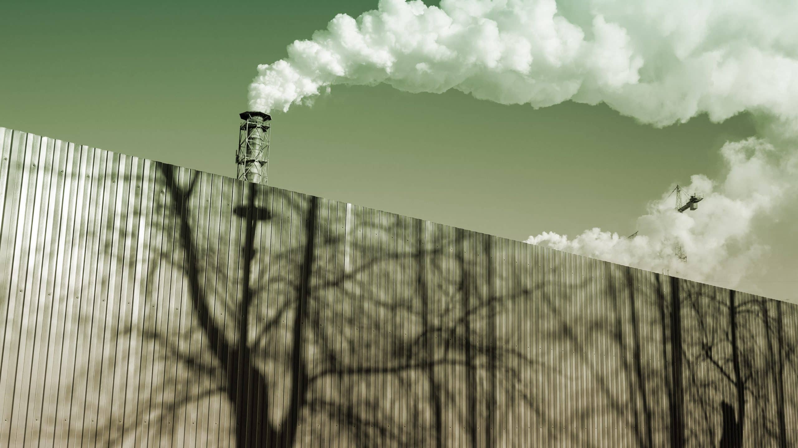 тени деревьев на заводском заборе